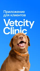 Vetcity Clinic screenshot 0