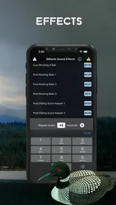 Loon Sound Effects screenshot 1