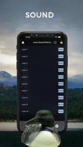 Loon Sound Effects screenshot 2