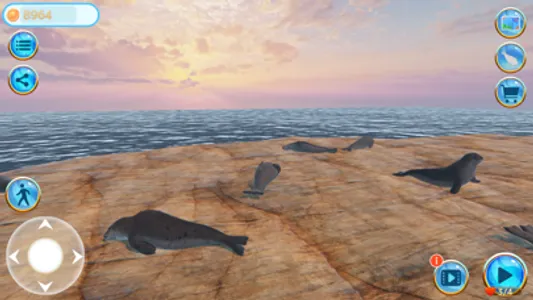 Seal Island screenshot 2