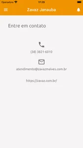 Zavaz Internet screenshot 3