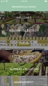 Bougainville Cocoa screenshot 1