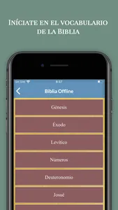 Diccionario Teológico y Biblia screenshot 2