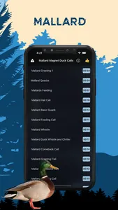 Mallard Magnet - Duck Calls screenshot 0