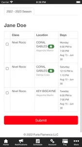 Furia Flamenca Dance Studio screenshot 2