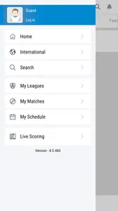 Gimmies Krieket screenshot 1