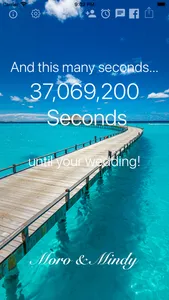 Wedding Countdown Widget screenshot 4