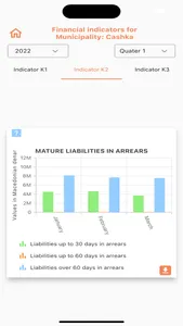 Municipal Indicators Dashboard screenshot 4