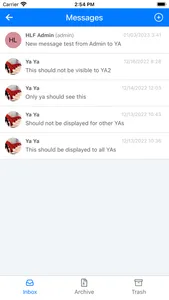 Young Ambassadors screenshot 1