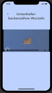 Röntgen am Pferdekopf screenshot 3