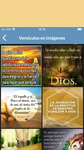 Biblia Lenguaje Actual TLA screenshot 6