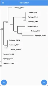 Phylogenetic Tree Draw screenshot 0