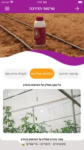 נימיץ screenshot 3