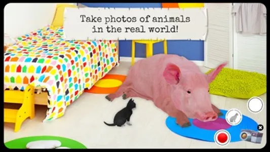 Farm Animals & Pets (Full) screenshot 7