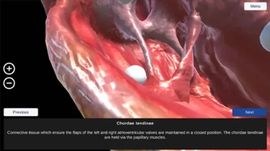 Human Heart screenshot 1