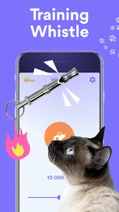 Meow Translator: Human & Cat screenshot 2