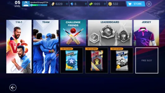 Sachin Saga Pro Cricket screenshot 1