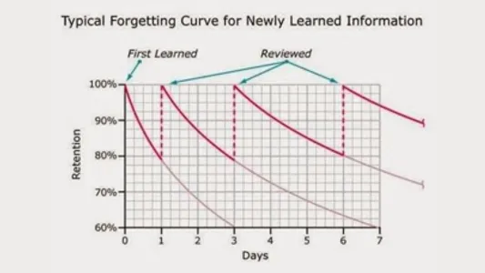 Memorization:Spaced Repetition screenshot 0