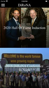 DiRōNA screenshot 3