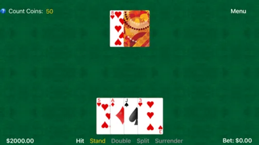 Blackjack Cracked screenshot 2