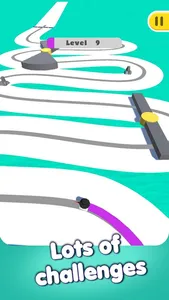 Slippy Liner: Color Path screenshot 6