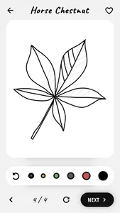 How to draw flowers tutorials screenshot 3