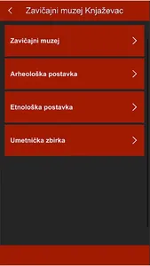 Zavicajni muzej Knjazevac screenshot 1