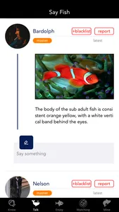 RoRo FishSky screenshot 2