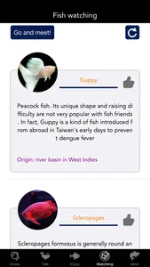 RoRo FishSky screenshot 3