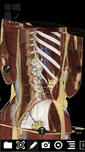 3Dissect Abdomen screenshot 1