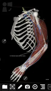 3Dissect Upper Limb screenshot 3