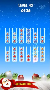 Christmas Sort Puzzle Game screenshot 6