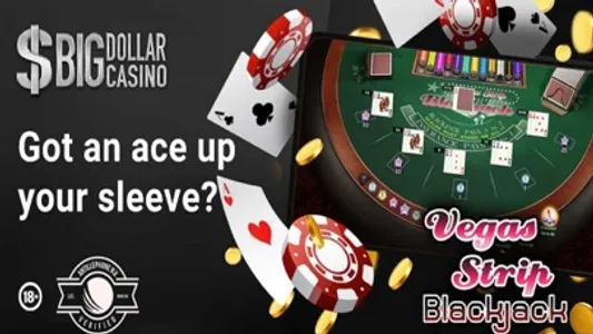 Big Dollar Online Casino screenshot 1