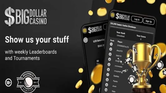 Big Dollar Online Casino screenshot 7