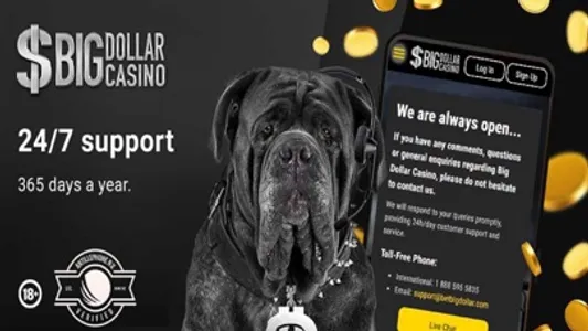 Big Dollar Online Casino screenshot 8