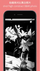 HighC high constract B&W screenshot 0