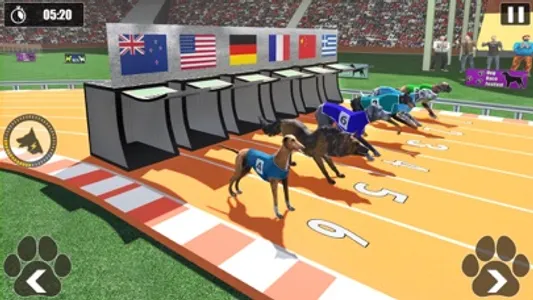 Dog Racing Championship Game screenshot 4