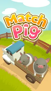 Match Pig screenshot 5