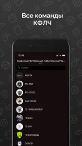 КФЛЧ screenshot 4