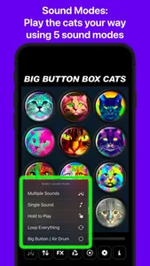 Big Button Box: Cat Sounds screenshot 3