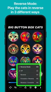 Big Button Box: Cat Sounds screenshot 7