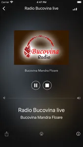 Radio Bucovina screenshot 1