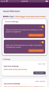 thinkbridge screenshot 1
