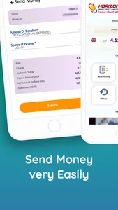 Horizon Remittance screenshot 5