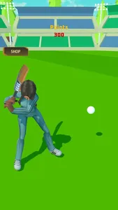 PM Cricket Sports screenshot 6