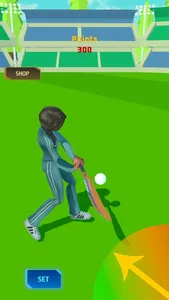 PM Cricket Sports screenshot 8