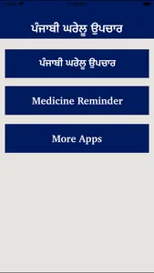 Punjabi Home Remedies Guide screenshot 0