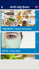 Punjabi Home Remedies Guide screenshot 1