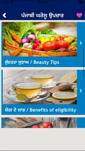 Punjabi Home Remedies Guide screenshot 2