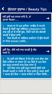 Punjabi Home Remedies Guide screenshot 3